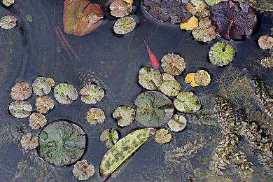 微软在2021年就已决定让ZeniMax成为Xbox独占